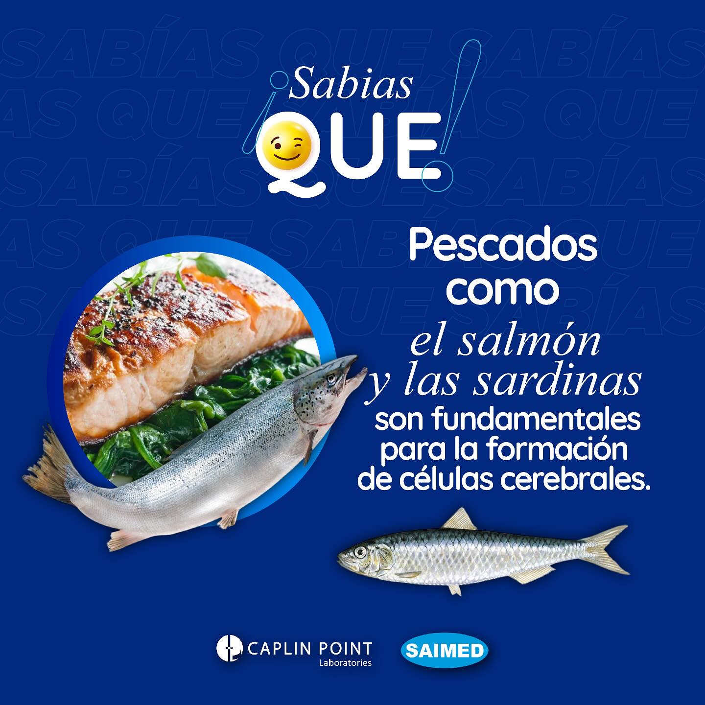 Drogueria - 🔎 SABÍAS QUE… 🧠 El salmón, las sardinas y otros pescados ...