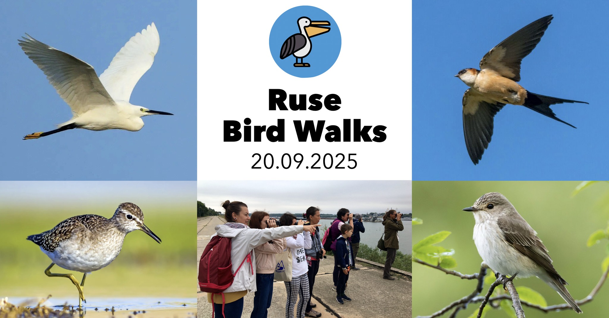 Bulgaria - 🐤 На 20-ти септември ще проведем сутрешна и предиобедна ...