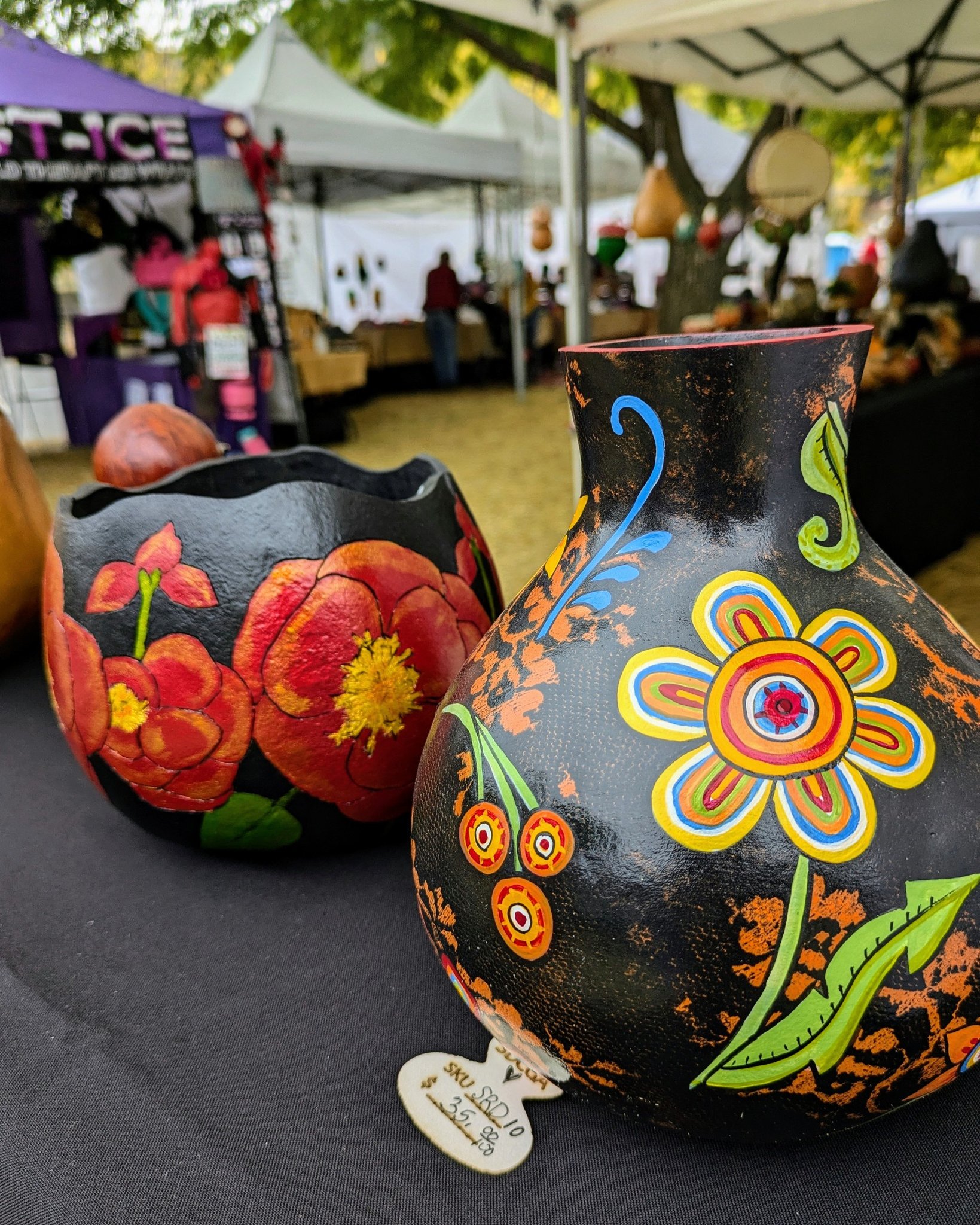 San Diego County Gourd Artist