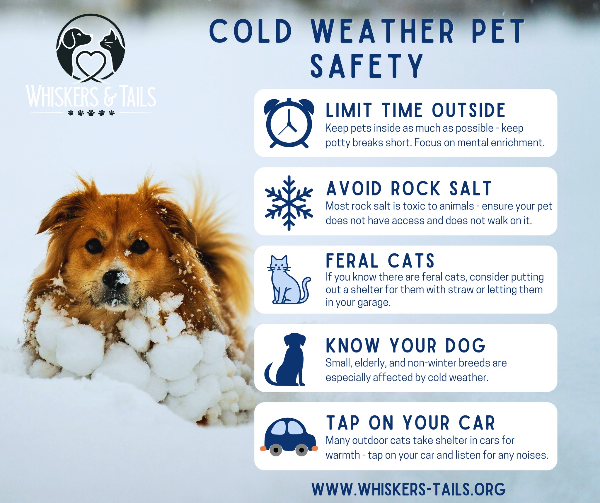 Whiskers - ️ Cold Weather Pet Safety Reminder! 🐾 With the upcoming ...