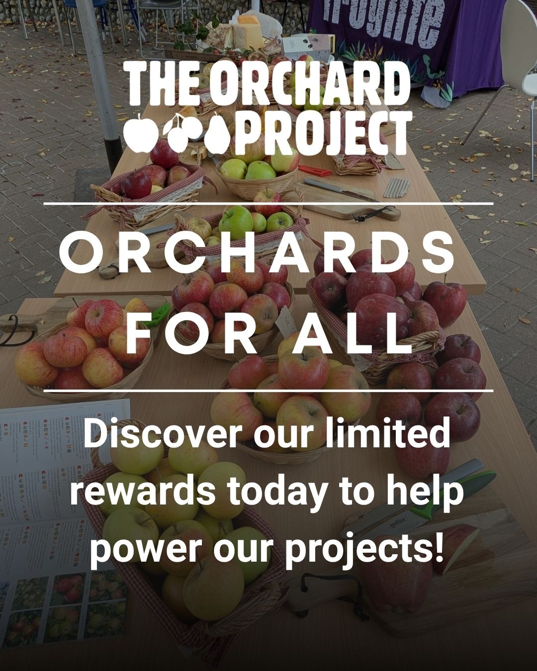 The Orchard Project - Did you know that orchards are “priority habitats ...