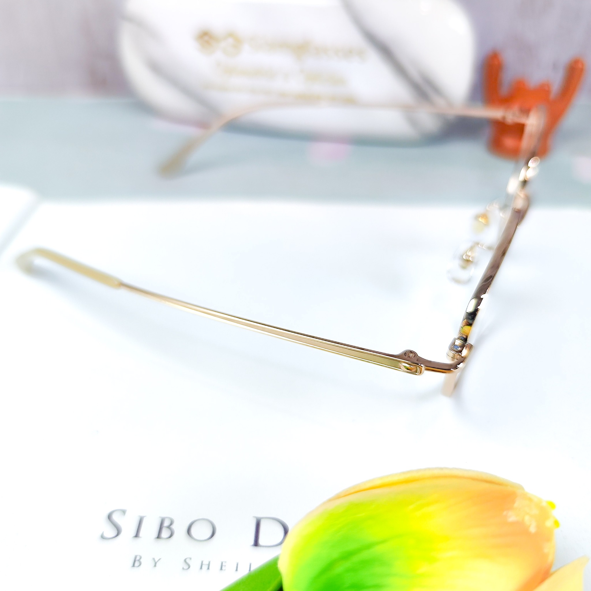 ศูนย์โปร... - ศูนย์โปรเกรสซีฟ ร้านแว่นตา SiamGlasses บางบัวทอง