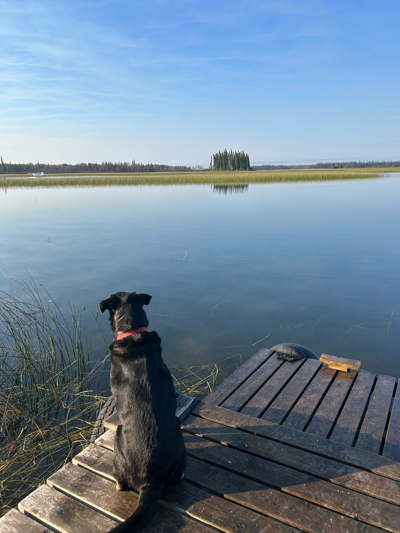 Against the Grain - Organic Wild Rice | La Ronge SK