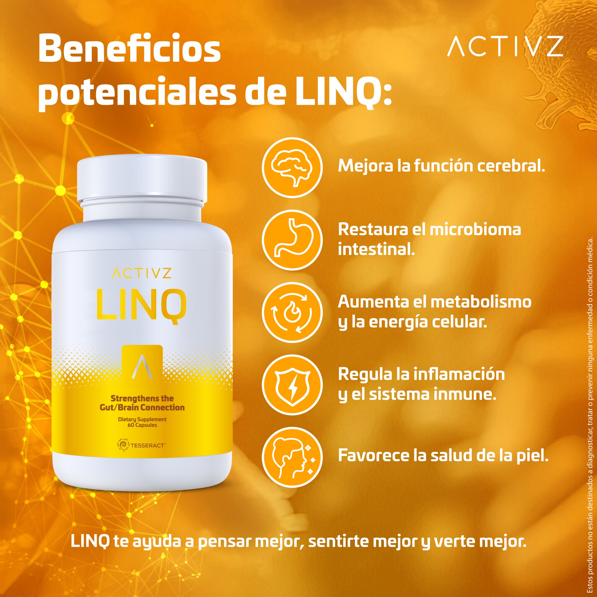 Denise Activz | Monterrey