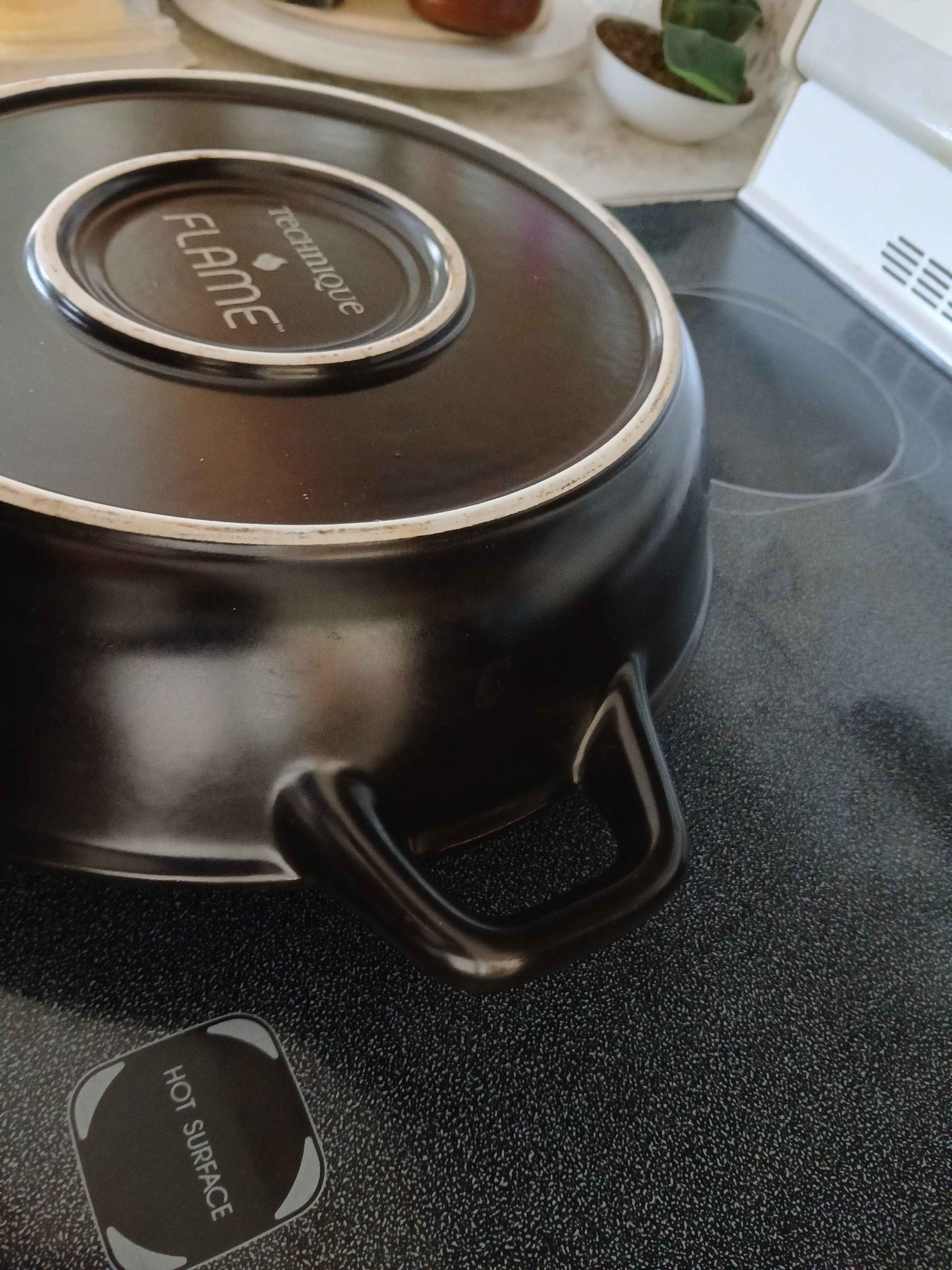Technique Flame Upright Chicken Roasting Pan $20 - Roasting Pans - Lynn ...