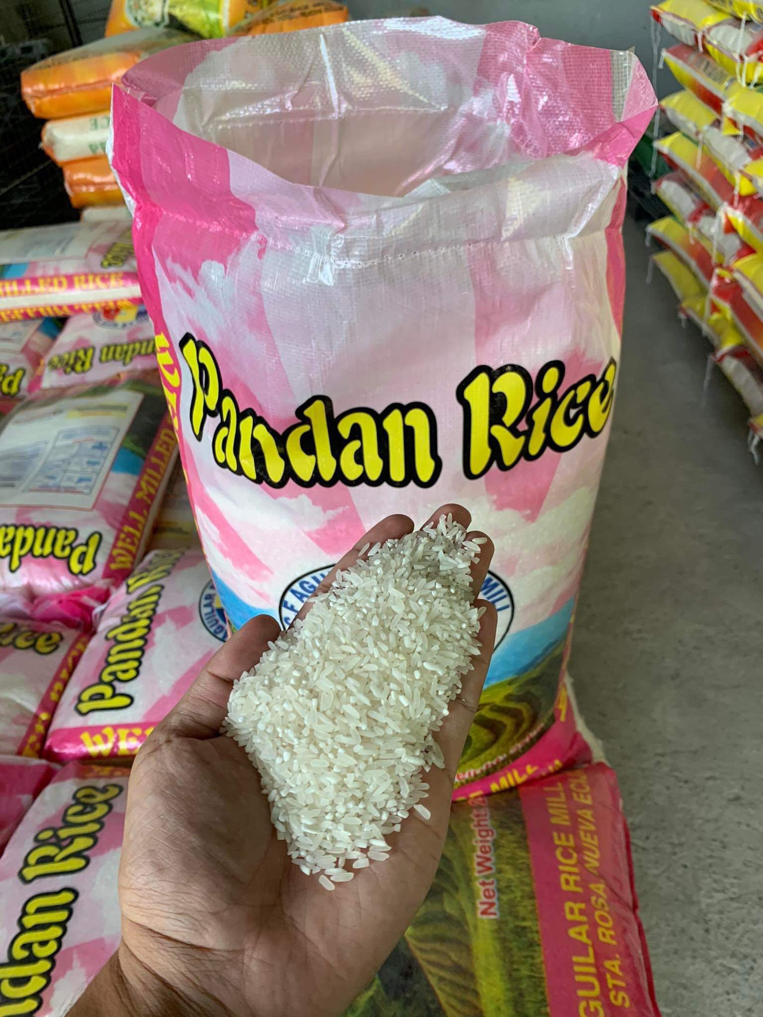 MBRice and Palay Dealer | Santa Rosa