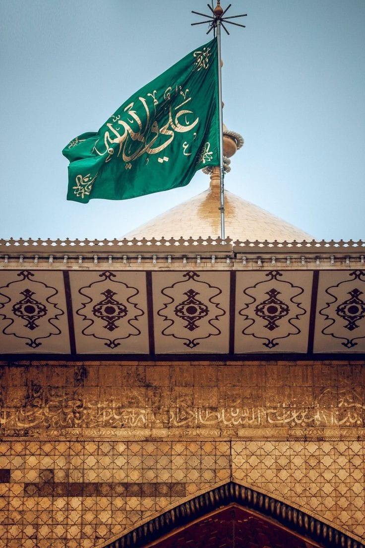 انیس محمد