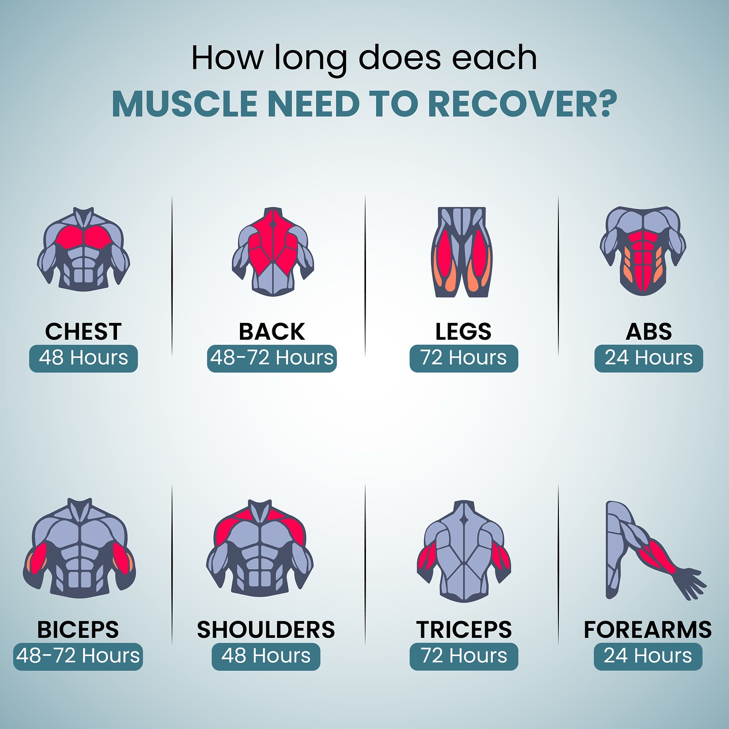 HealthKart - ⏳ One muscle in your body needs almost 3x... | Facebook