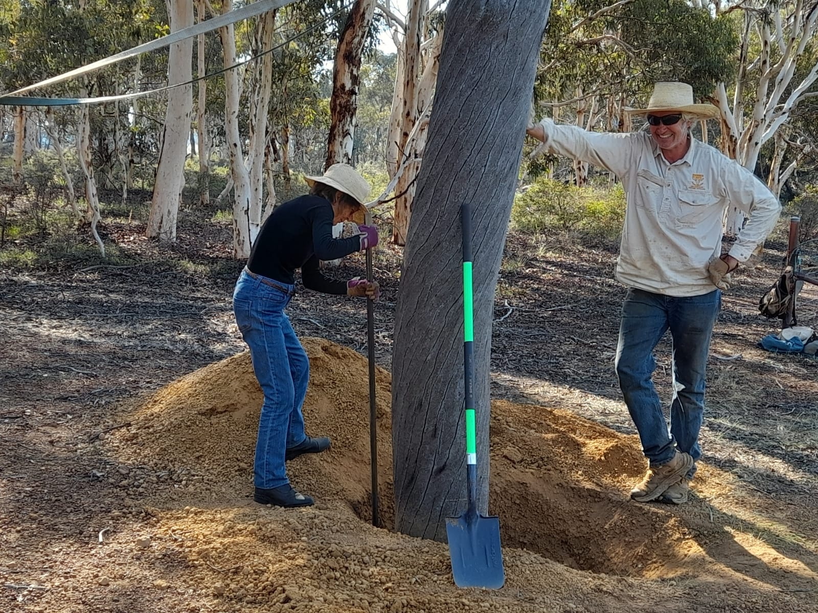 Carrah - Mother of the wife is set to work tamping in the tree. | Facebook