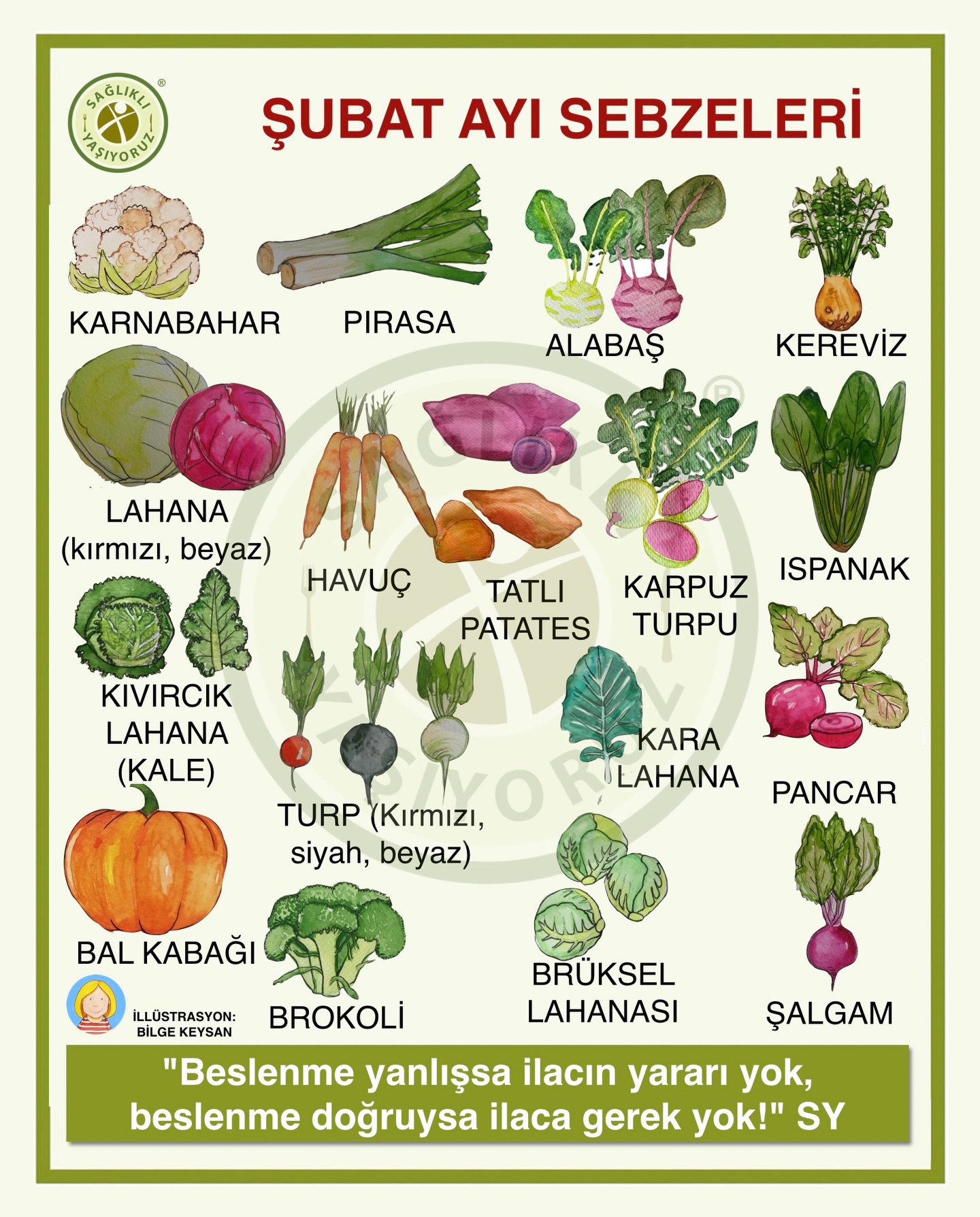 Sağlıklı - HAZİRAN AYI SEBZELERİ Sağlıklı beslenenler sebze ve ...