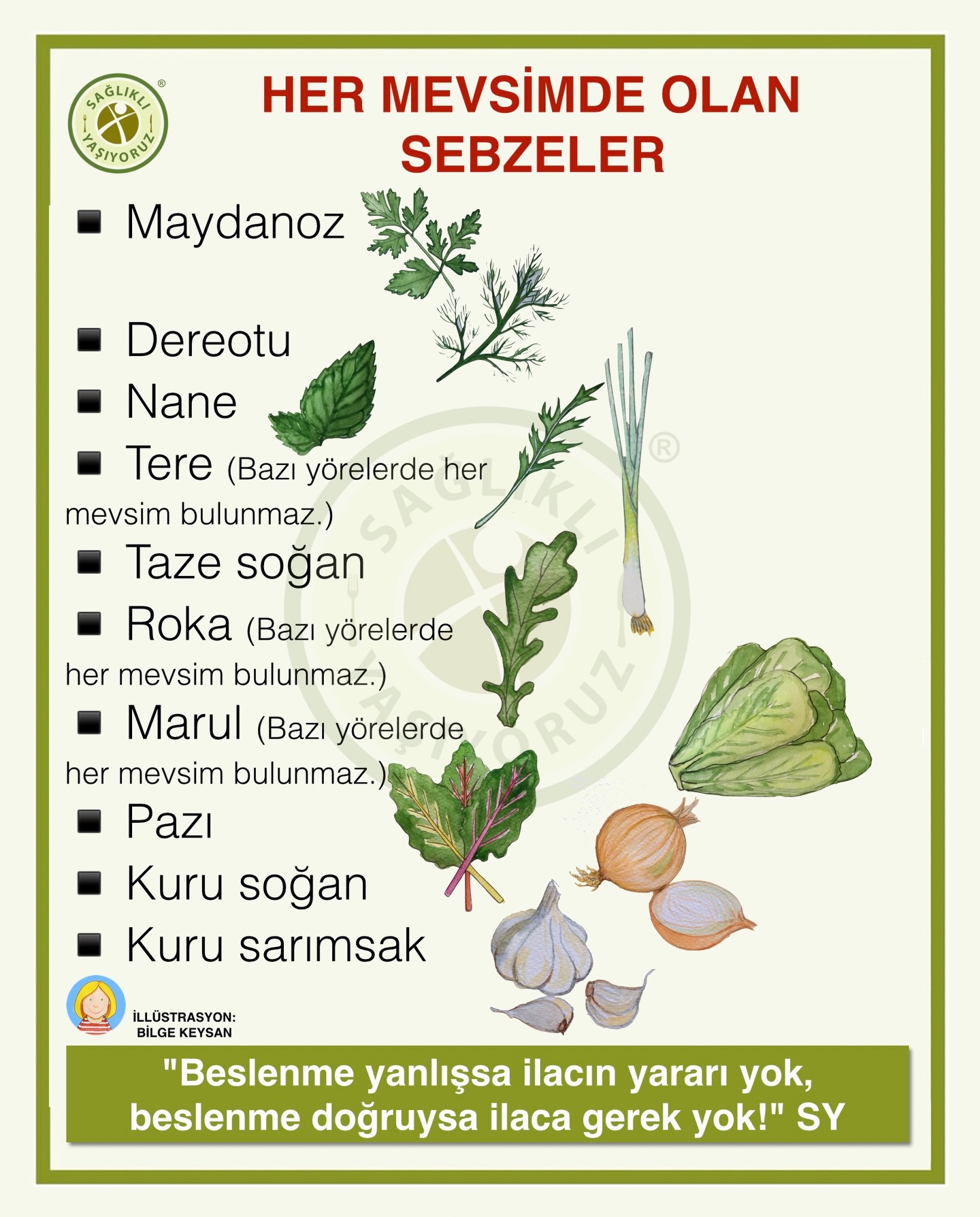 Sağlıklı - HAZİRAN AYI SEBZELERİ Sağlıklı beslenenler sebze ve ...