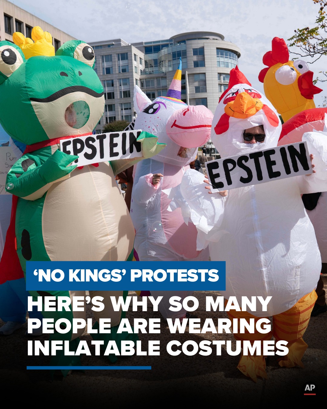 WTOL - Ducks, frogs, unicorns... Here's why so many 