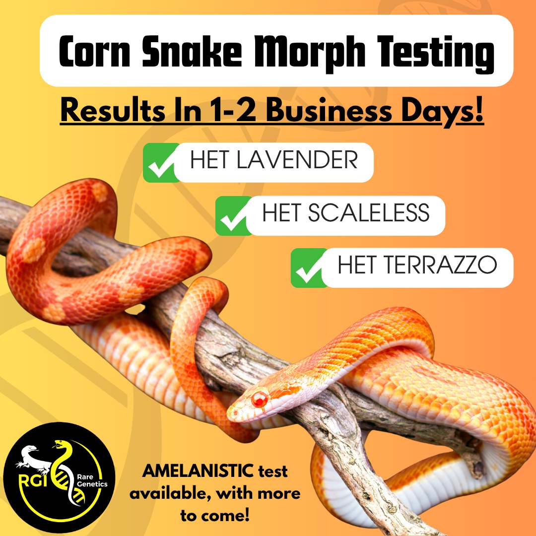 Did you know that our Fassst Tests... - Rare Genetics, Inc. | Facebook
