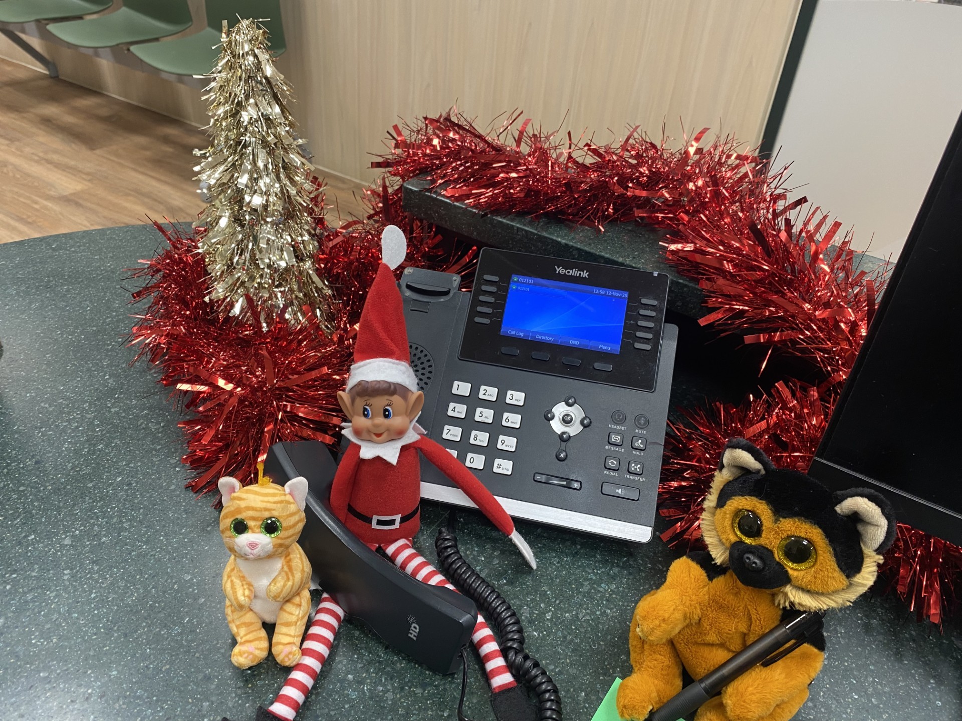 Vets4Pets - 🎄📞 Naughty Elf on Duty! 📞🎄 Looks like our elf and his ...