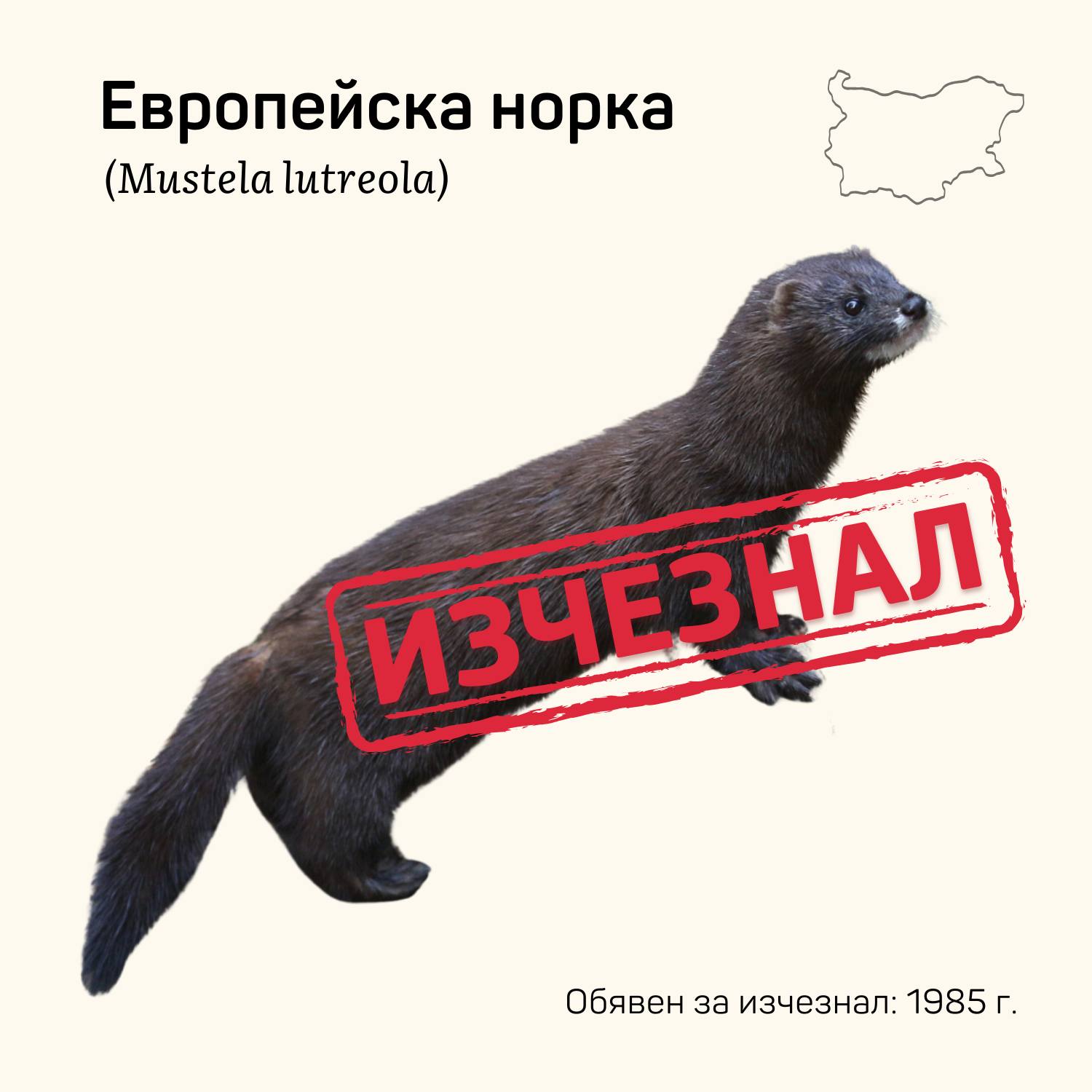 Европейската - Полуводни бозайници, обитавали дунавските острови и ...