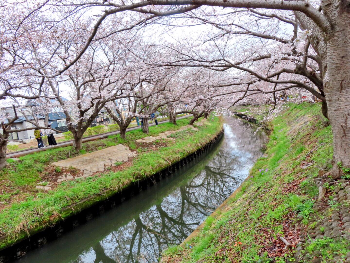 船橋市観光協会 | Funabashi-shi Chiba