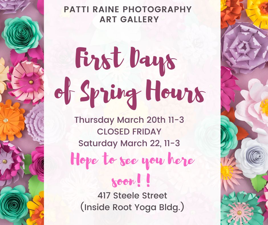 Patti Raine Photography