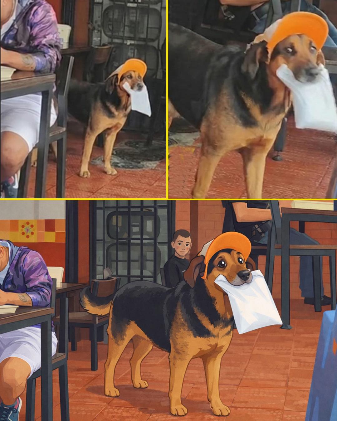 Jose - Mientras estaba comiendo, se acercó un perrito con una gorrita ...
