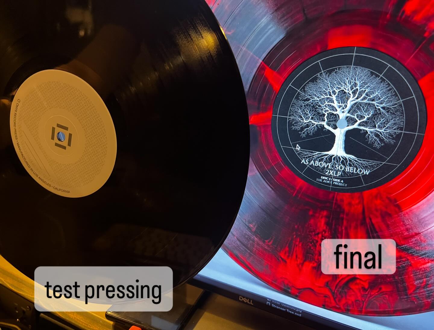 Forced Entry's 'As Above, So Below' gets vinyl release