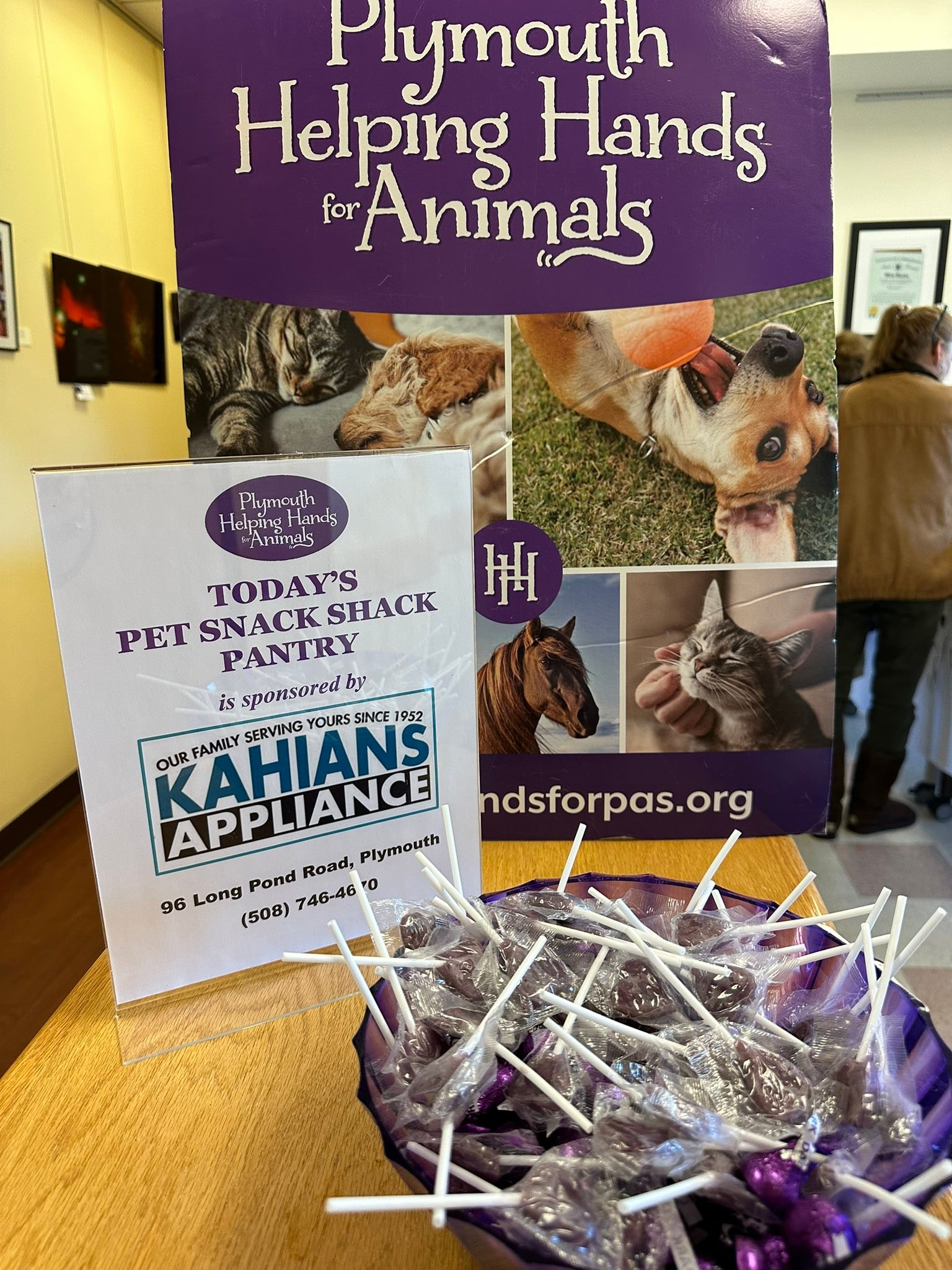 💜🙌🏼 Time for a... - Plymouth Helping Hands for Animals | Facebook