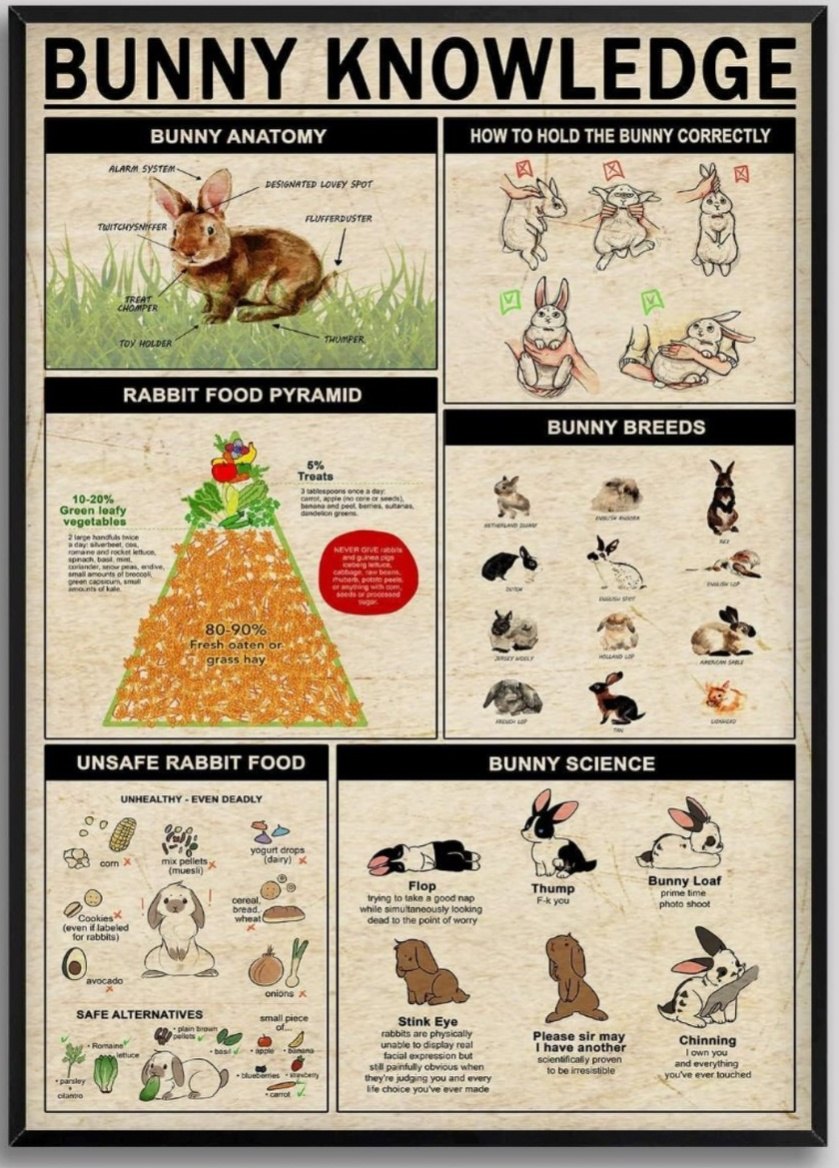 Adore - I absolutely love this!! Such a great pyramid of information 🐰💕 ...
