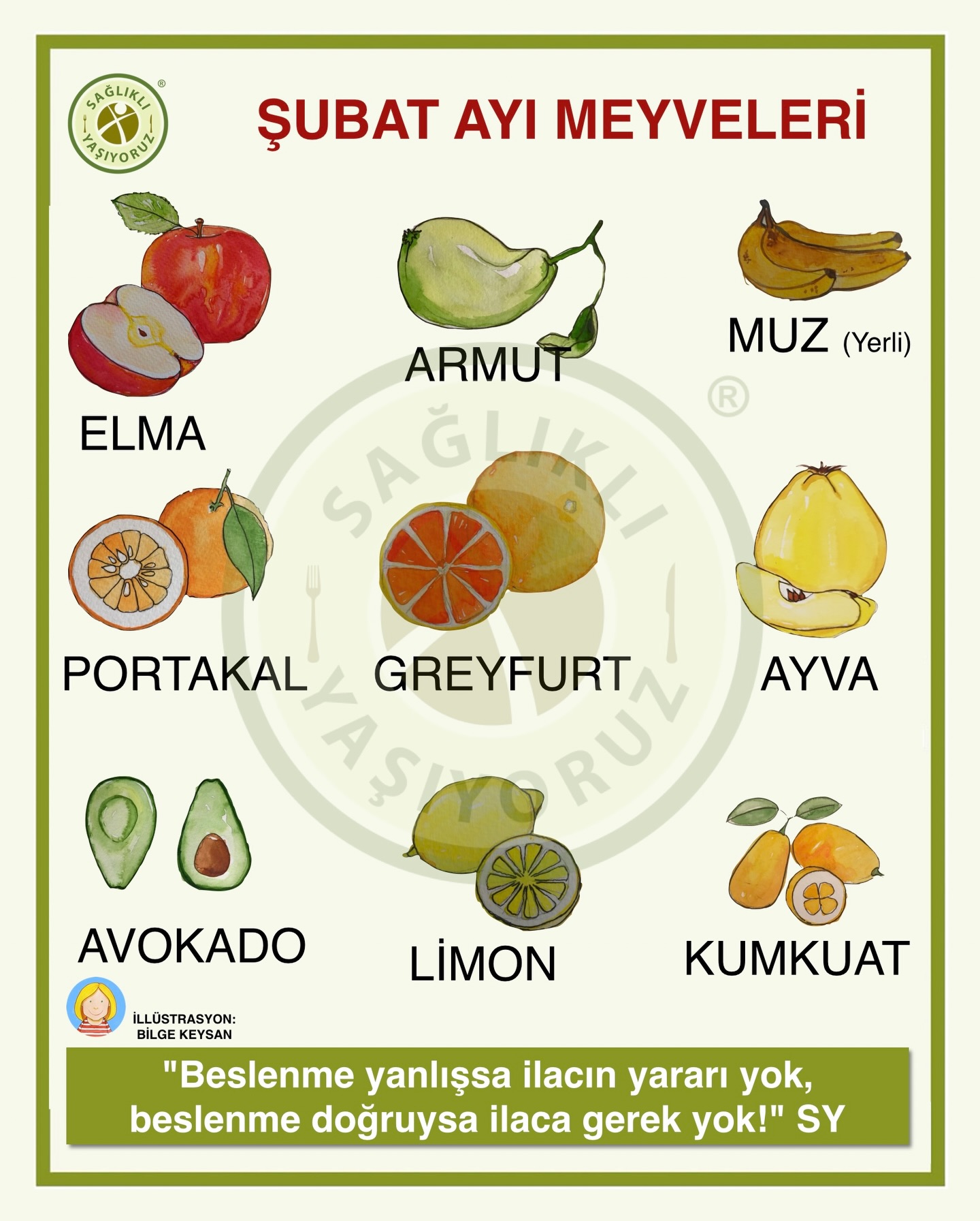Sağlıklı - HAZİRAN AYI SEBZELERİ Sağlıklı beslenenler sebze ve ...