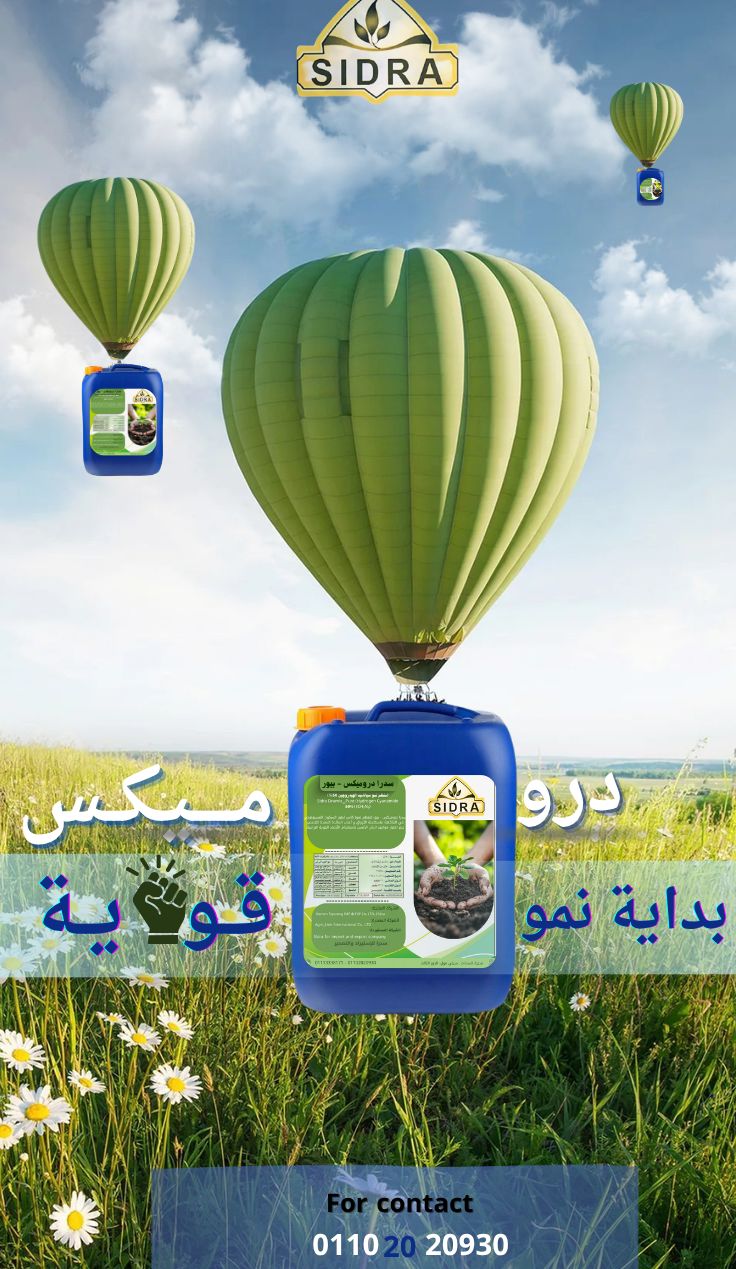 شركة سدرا للاستيراد والتصدير
