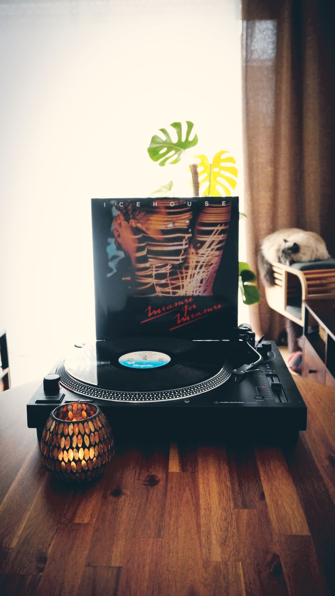 Measure for Measure - Icehouse ( 1986 ) 