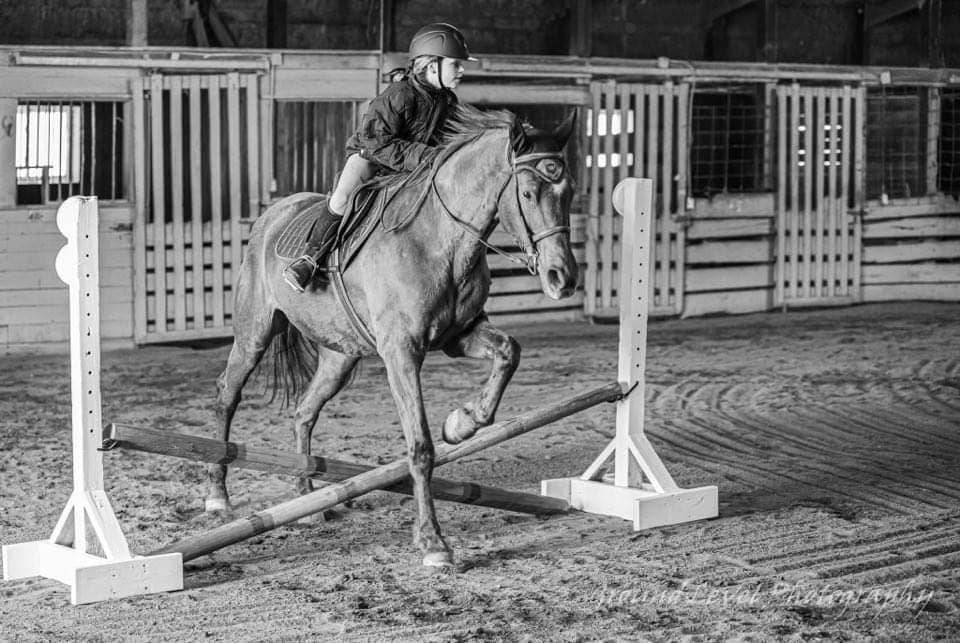 The CES crew had a great... - Clouse Eventing Stables LLC | Facebook