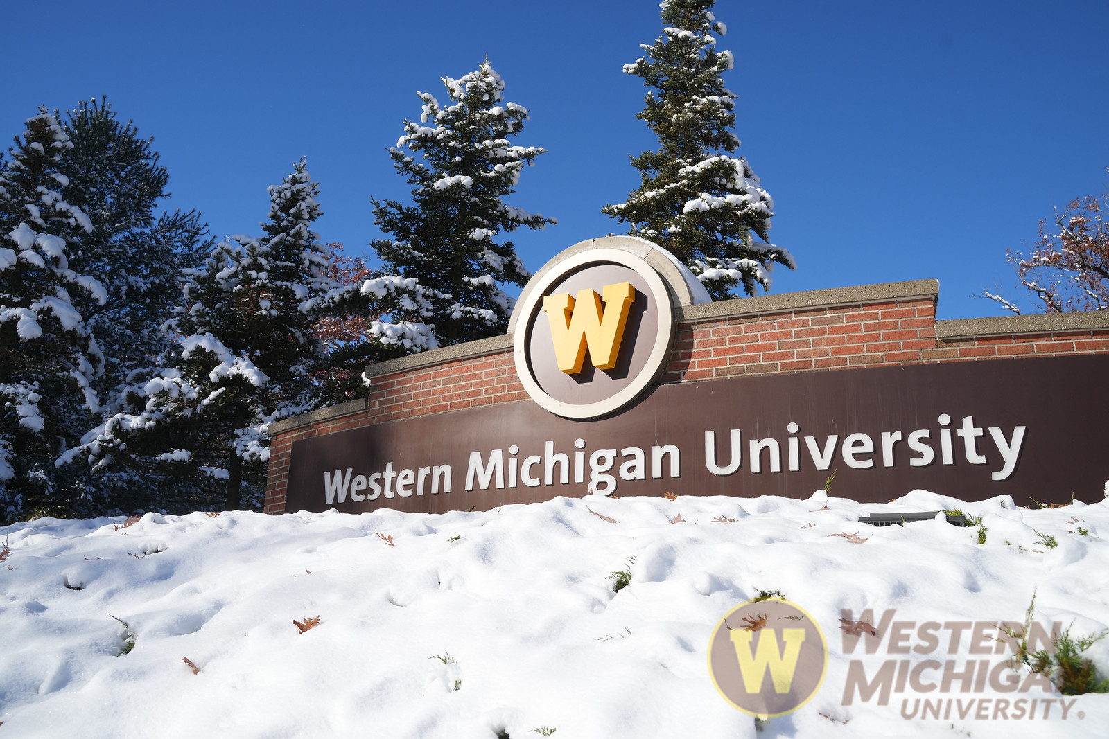 Western - #WMU Gold Moment No. 3: Western Michigan University expands ...