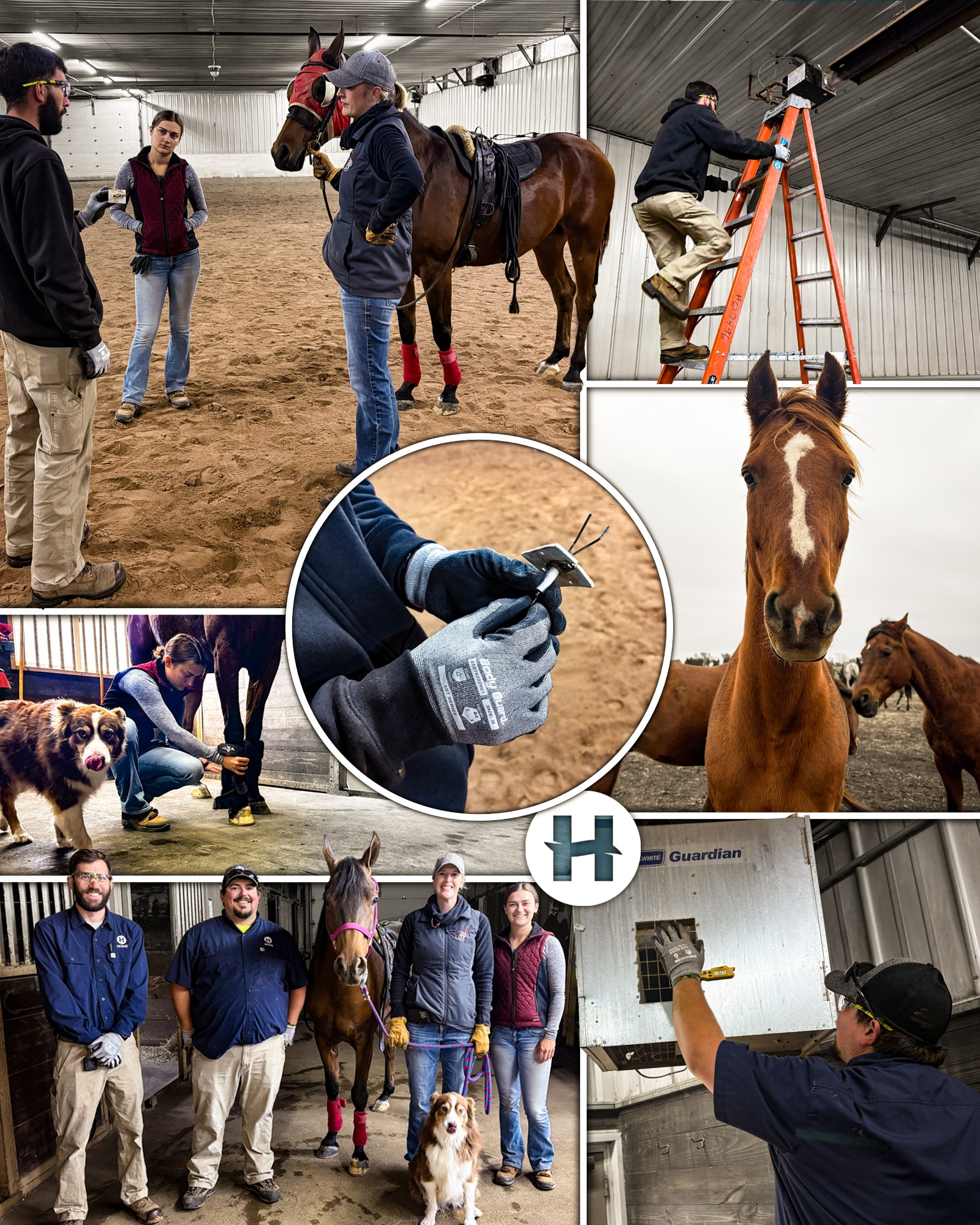 Howe, Inc. - Sometimes the need for comfort extends all... | Facebook