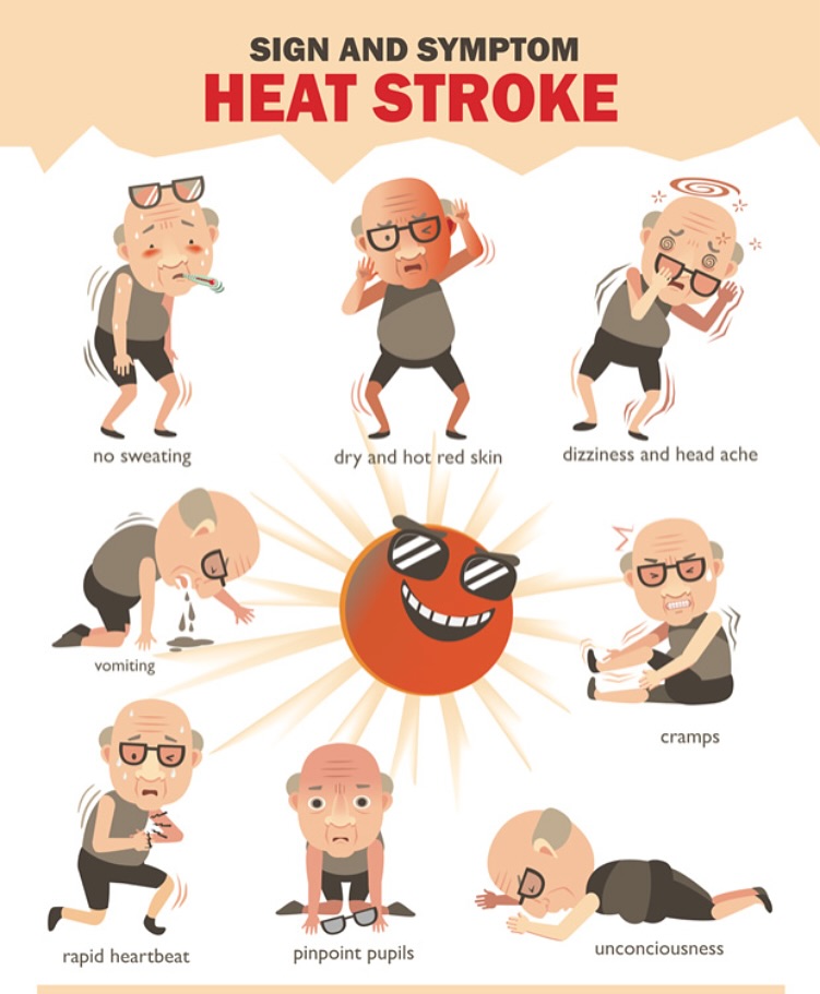 Biggs - 🥵🥵⬇️⬇️ Heat stroke is more than overheating — it’s a breakdown ...