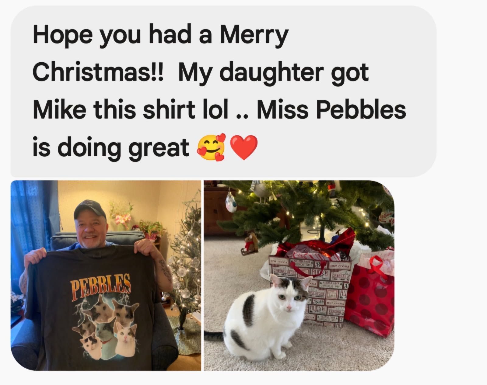 Ms. Pebbles was... - Shelby County Animal Shelter - Ohio | Facebook