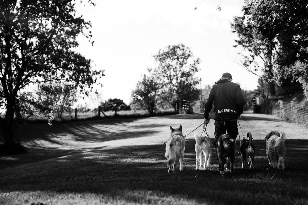 Alicia Riddle Photography
