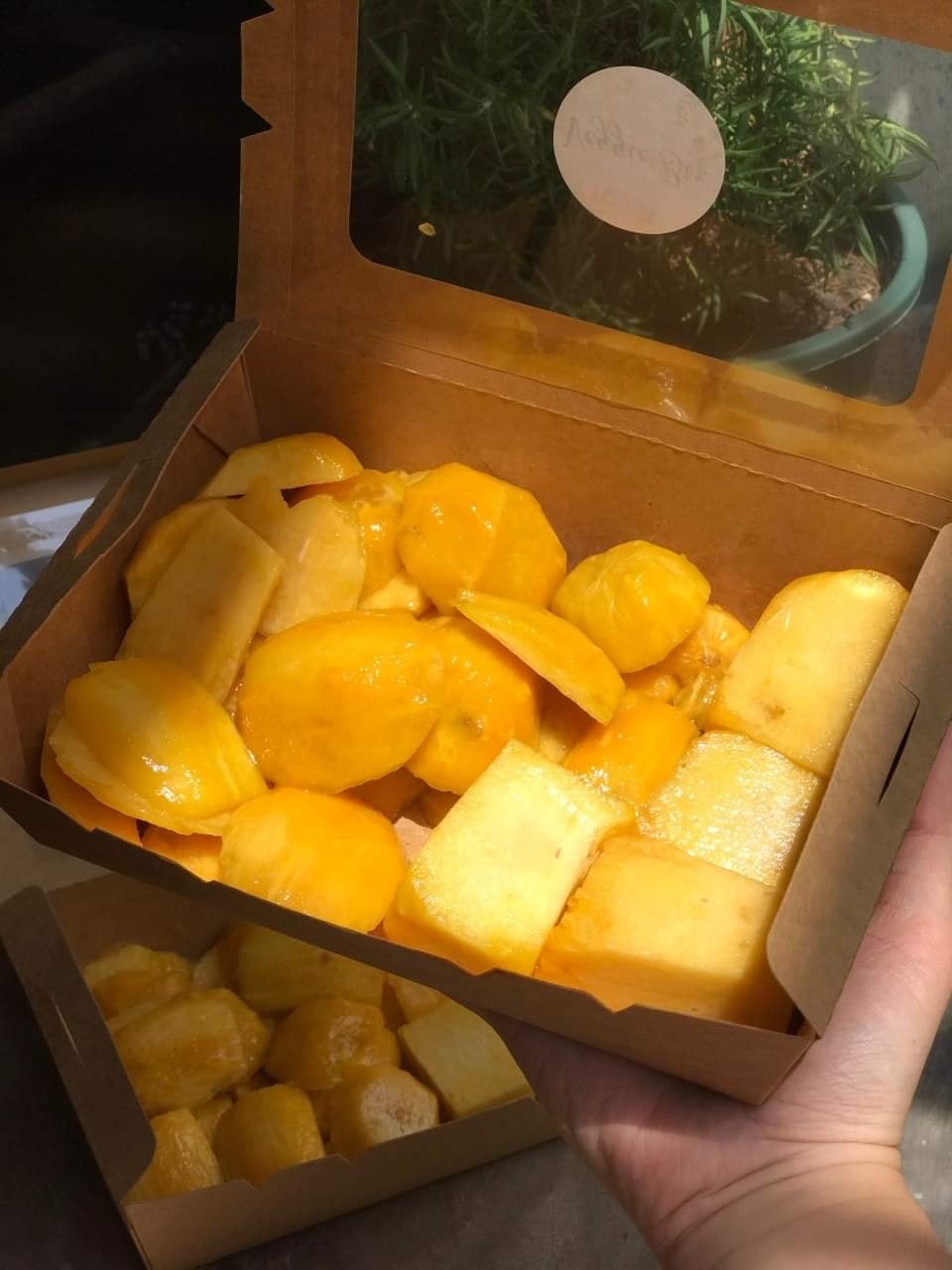 Veggie Box - TRÁI CÂY CẮT ĐÓNG HỘP/ NƯỚC CAM THỨ 5: SẠCH...