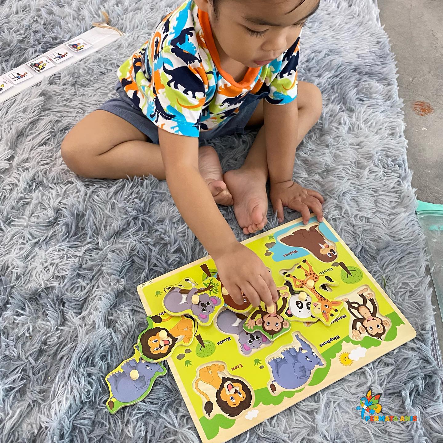 Permata Anis Autism Centre It S Puzzle Time Our Little Boy Is Working On Sorting The Animal Puzzles Did You Know That Working With Puzzle Is A Perfect Activity To Improve The