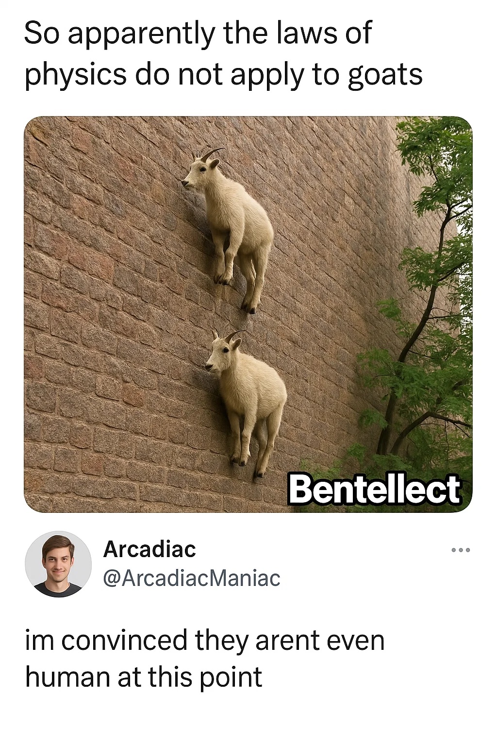 Bentellect - Newton didn’t test his laws on goats apparently | Facebook
