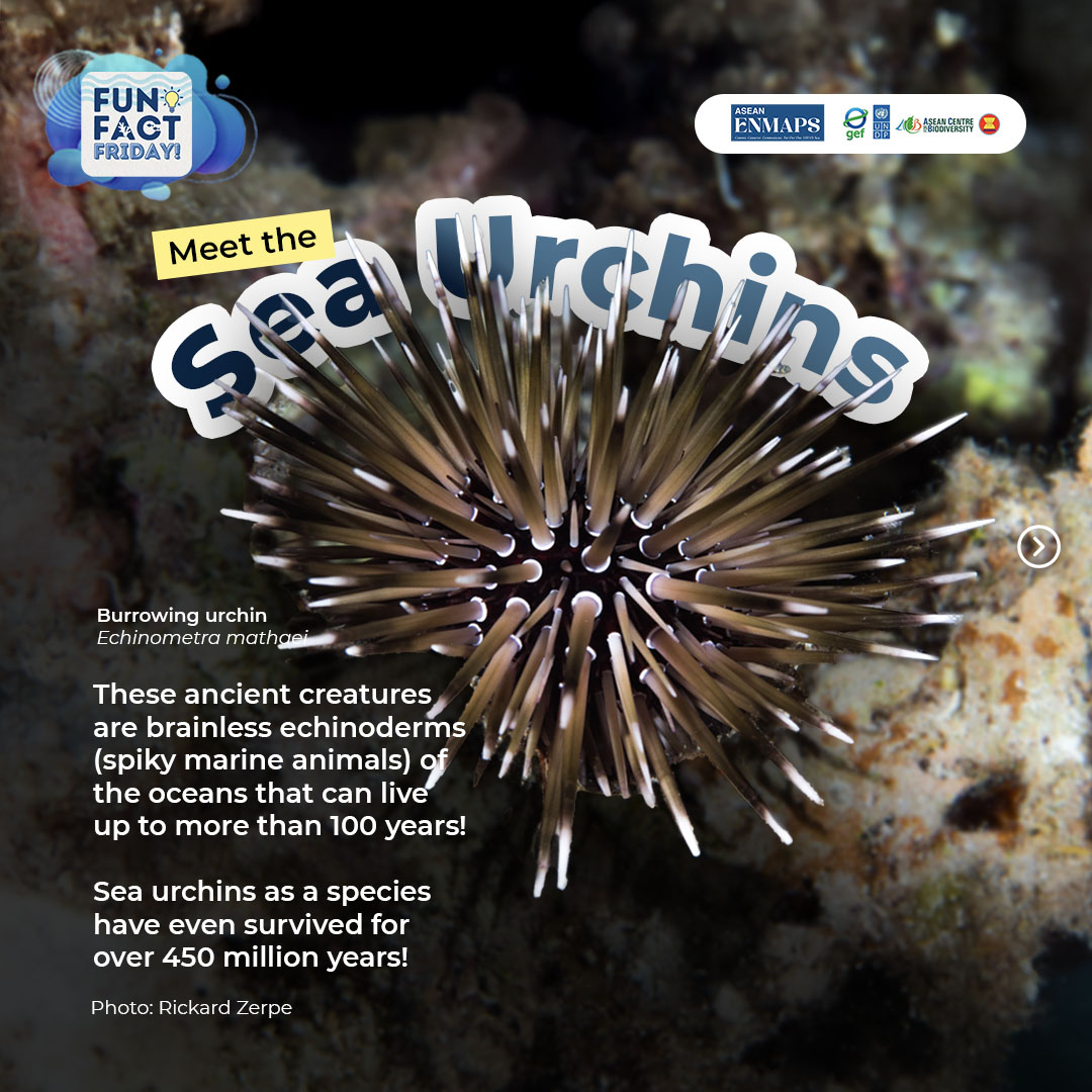 This week, let us meet the... - ASEAN Centre for Biodiversity | Facebook