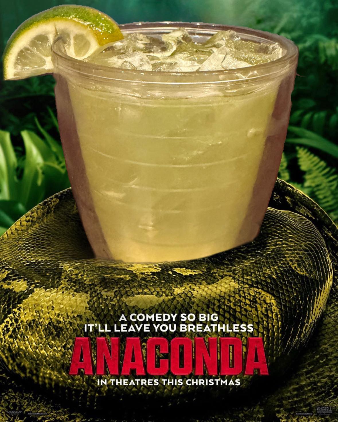 Nexus - 🐍🍹 Rum-a-Rita is wrapping its way into Nexus Celebrate Anaconda ...