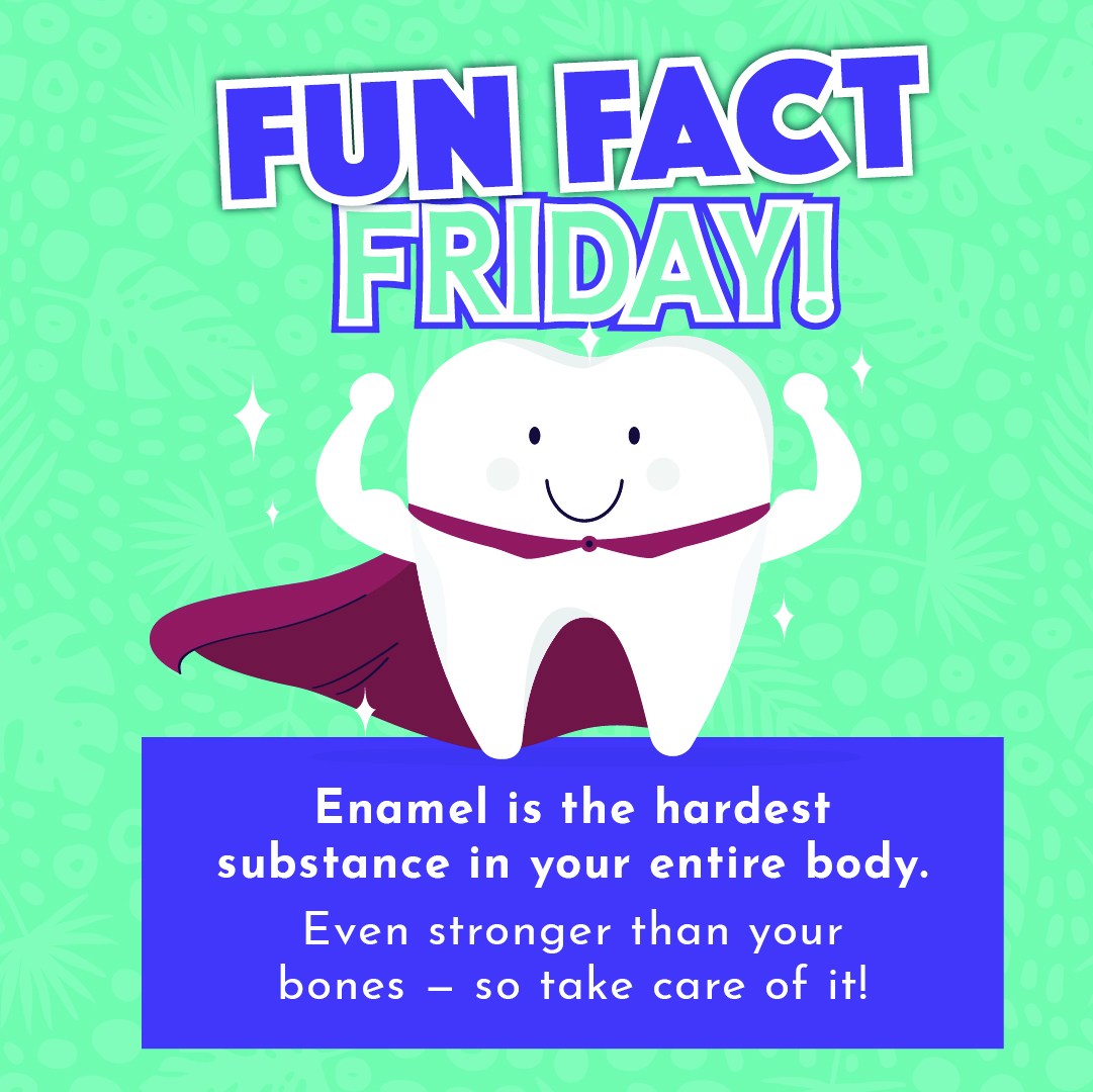 🦷 Fun Fact Friday! Tooth enamel is... - Wild About Smiles! | Facebook
