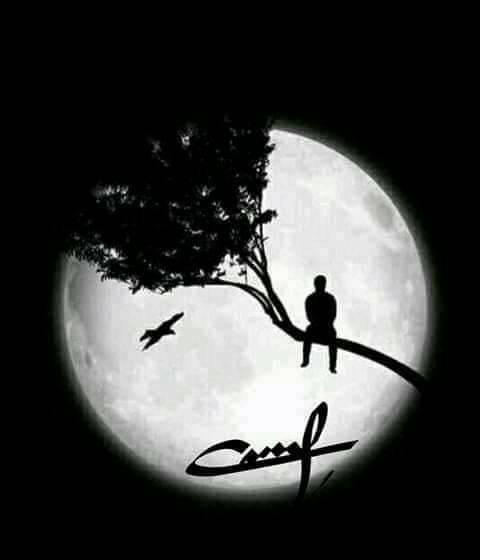 السلفية - ﺛﺒﺖ ﻋﻦ ﺍﻟﻨﺒﻲ ﺻﻠﻰ ﺍﻟﻠﻪ ﻋﻠﻴﻪ ﻭﺳﻠﻢ ﺃﻧﻪ ﻗﺎﻝ : )) ﻻ ﻋﺪﻭﻯ ﻭﻻ ﻃﻴﺮﺓ ...