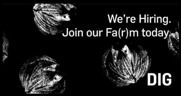 Dig Inn Careers | New York NY