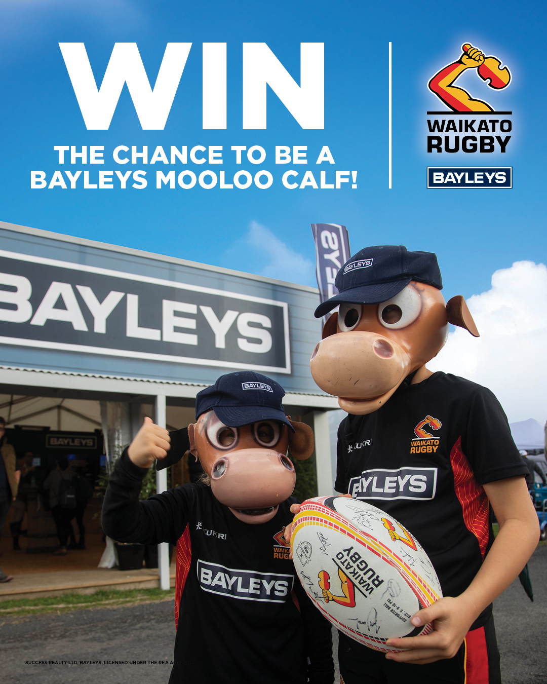 Bayleys Cambridge added a new photo. - Bayleys Cambridge