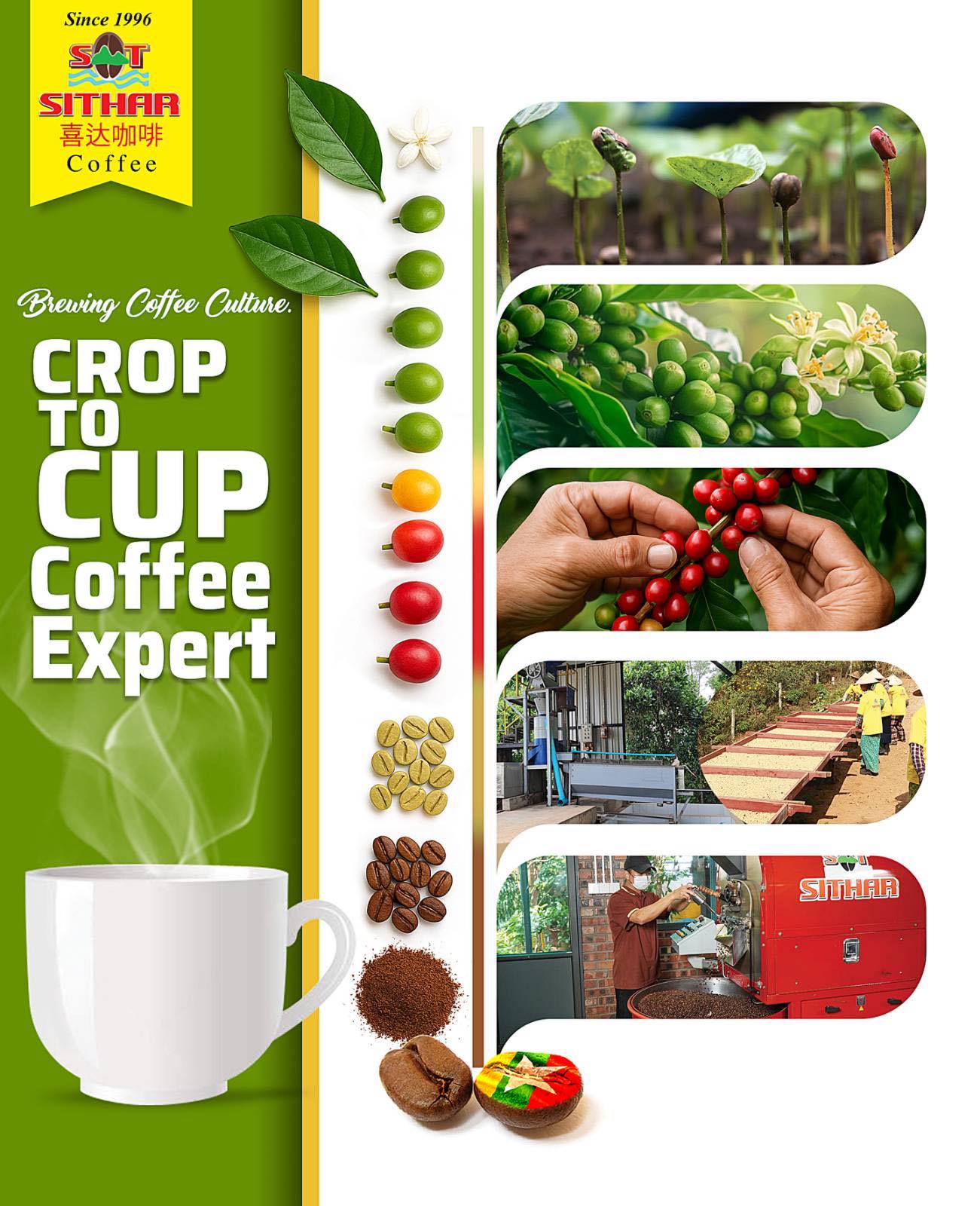 Sithar Coffee