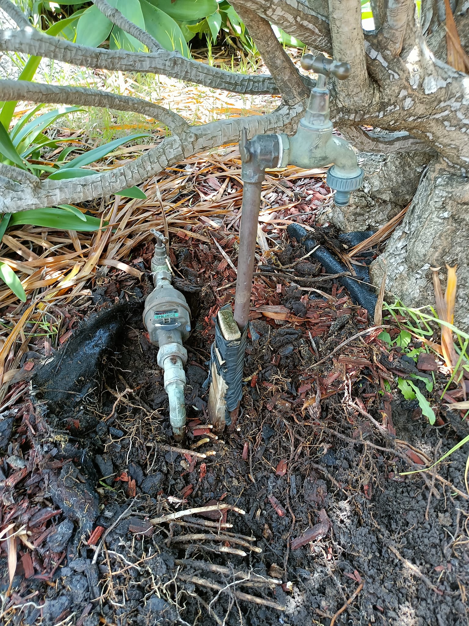 Aurora Plumbing and Maintenance | Shellharbour NSW