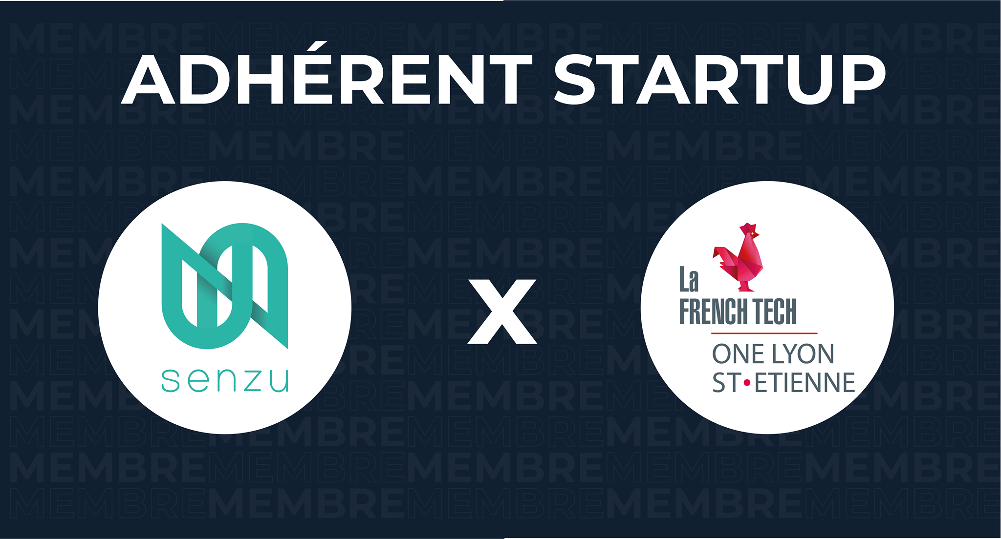 Senzu - 🥳 Bonne nouvelle pour Senzu ! 🚀 Nous sommes... | Facebook