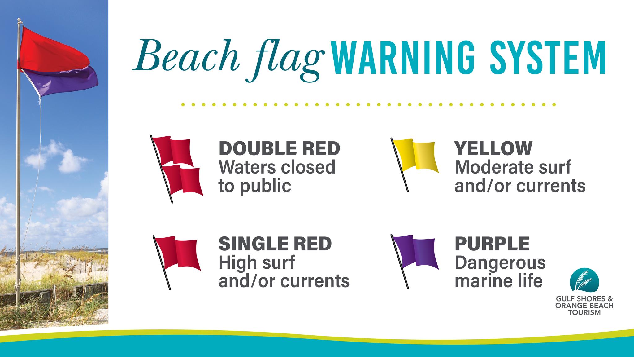 Whether you're a wave chaser or... - Brett/Robinson Vacations | Facebook