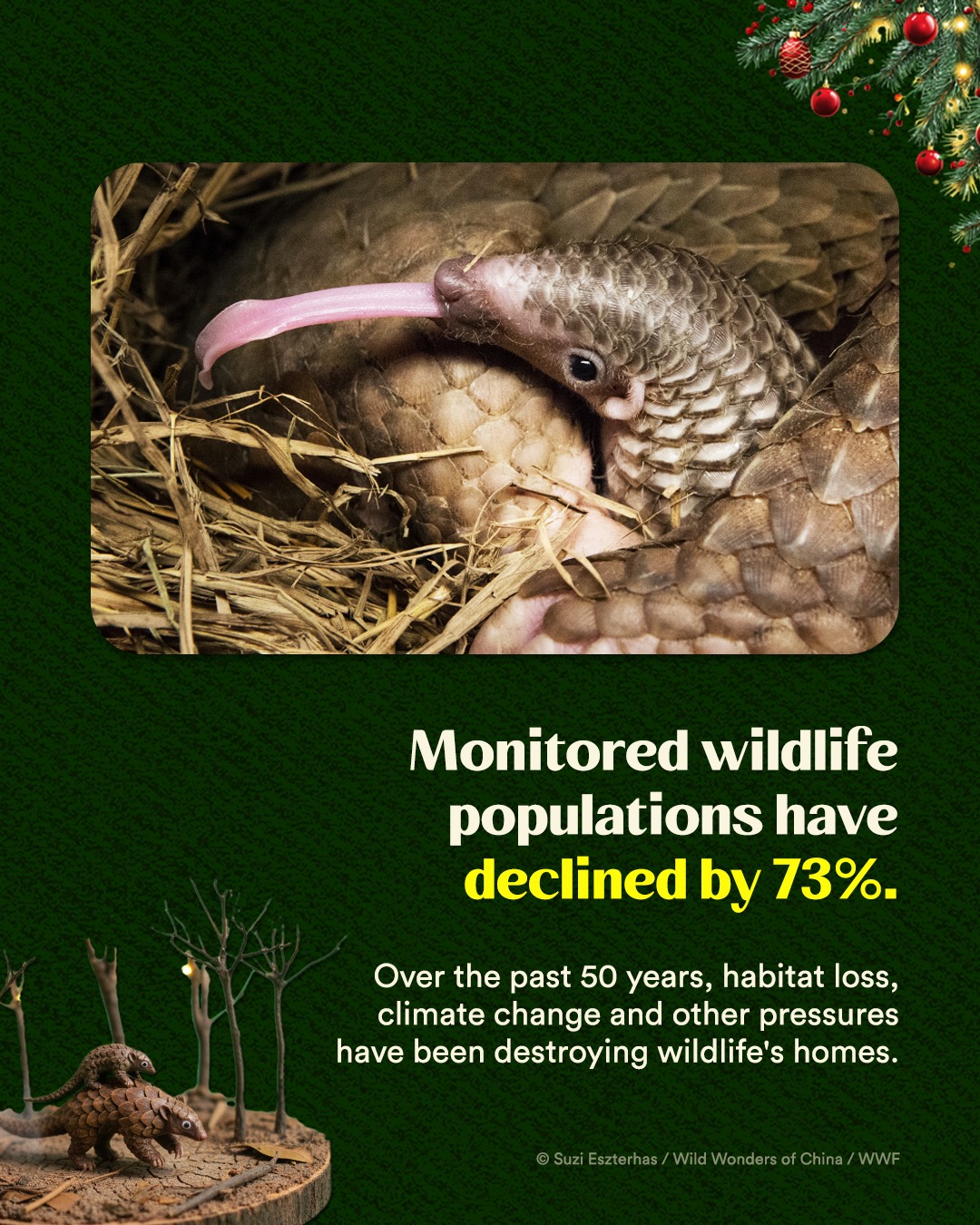 WWF-Singapore | Singapore Singapore