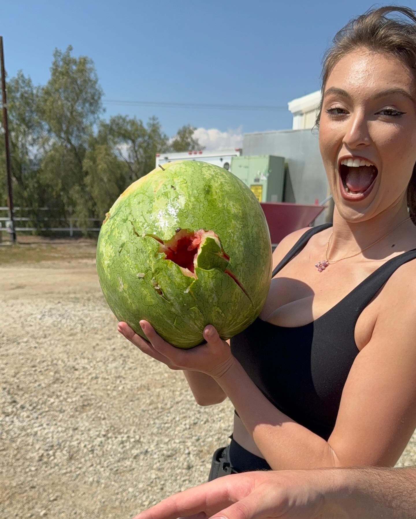 Beauty & Brains With A... Beauty & Brains With A Twist