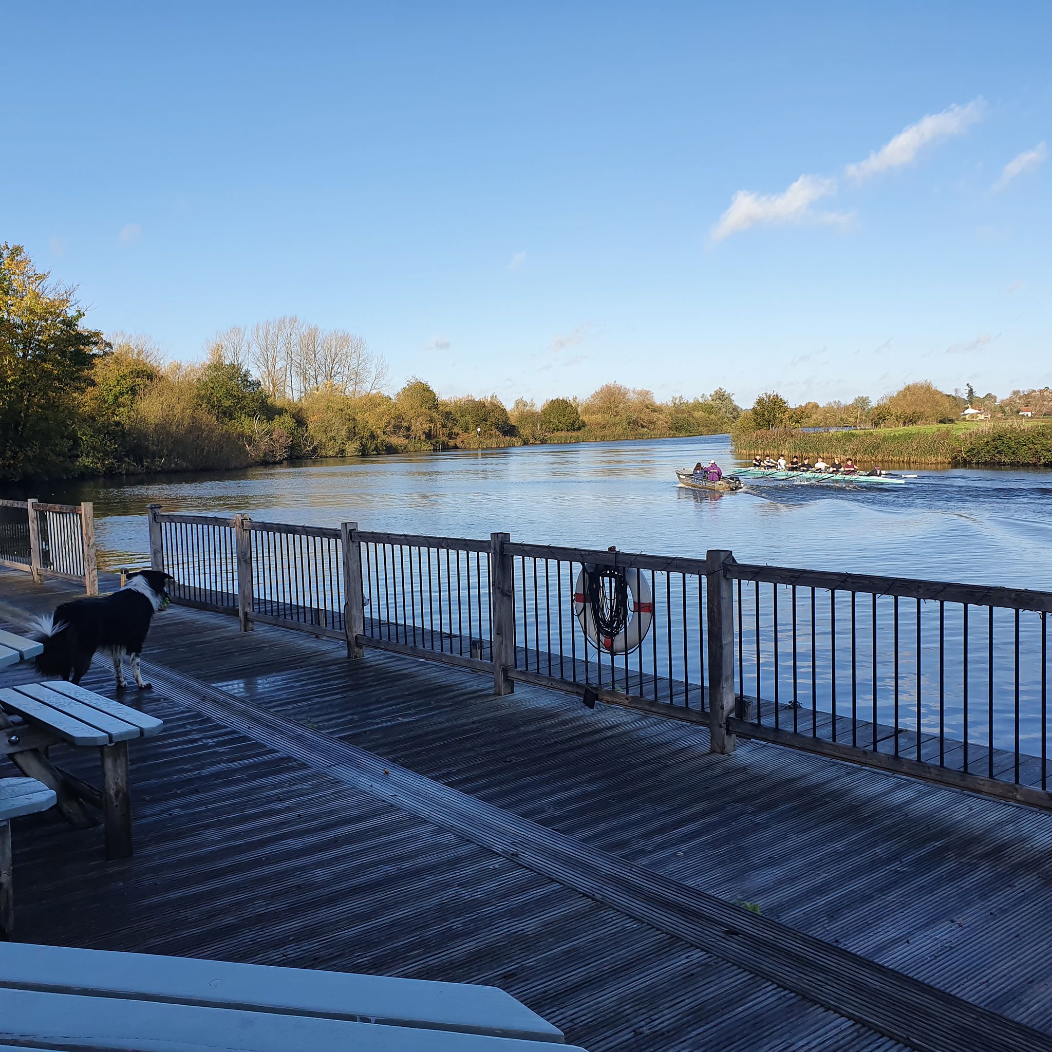 Waters - When one of our favourite regulars had been watching the water ...